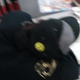 A Waffle House employee photographed by Bowen. Facebook/Alex Bowen